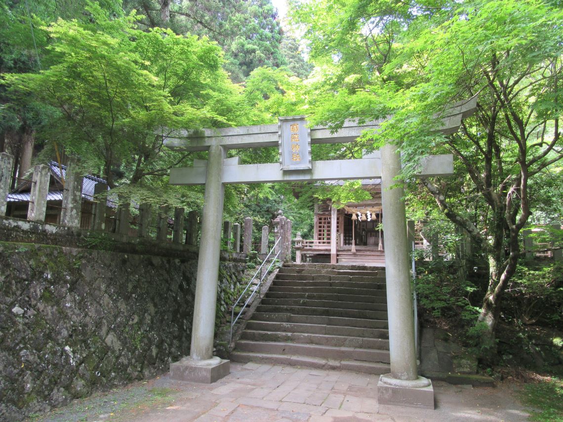 熊本県阿蘇市にある国造神社で撮影した、神社を彩る美しい草木。
