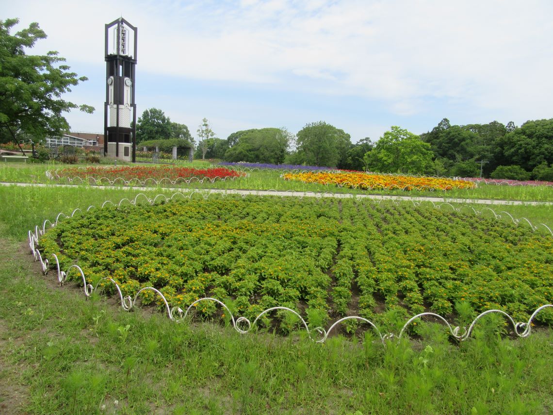 熊本市動植物園で撮影した、きれいな草花と時計塔。