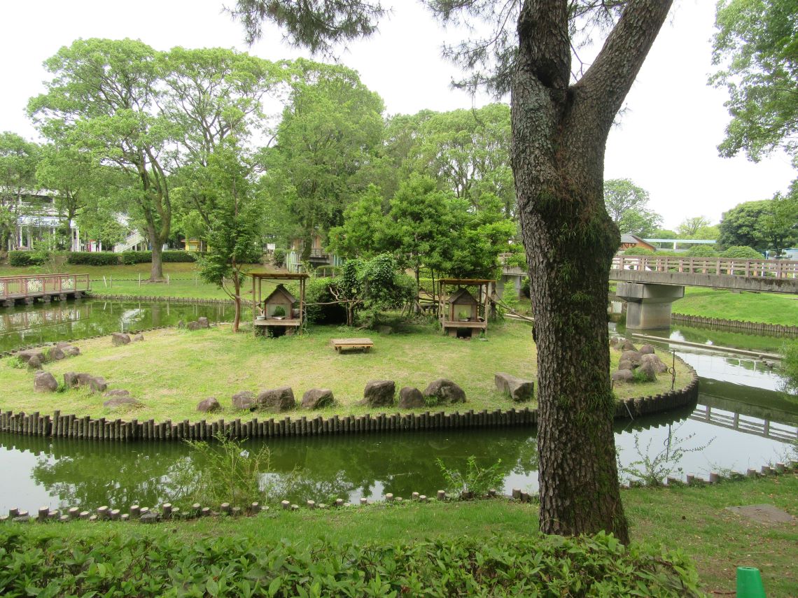 熊本市動植物園で撮影した、江津湖付近のきれいな自然。