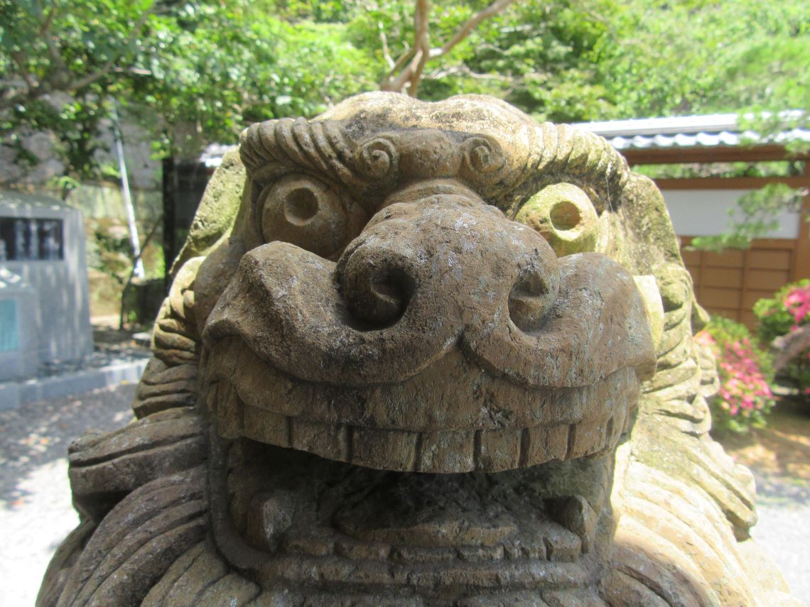 長崎市の諏訪神社付近で撮影した、祖霊社のびっくりしたような表情の狛犬さん。