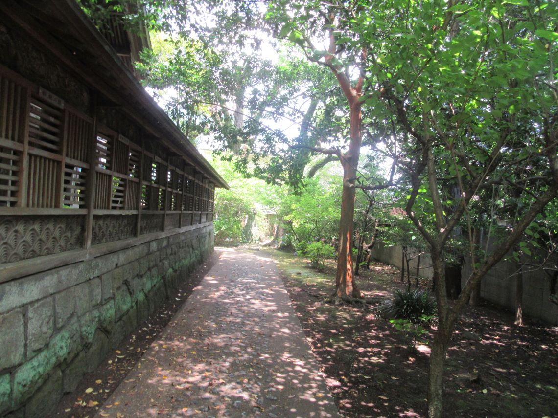 長崎市の松森天満宮で撮影した、きれいな緑。