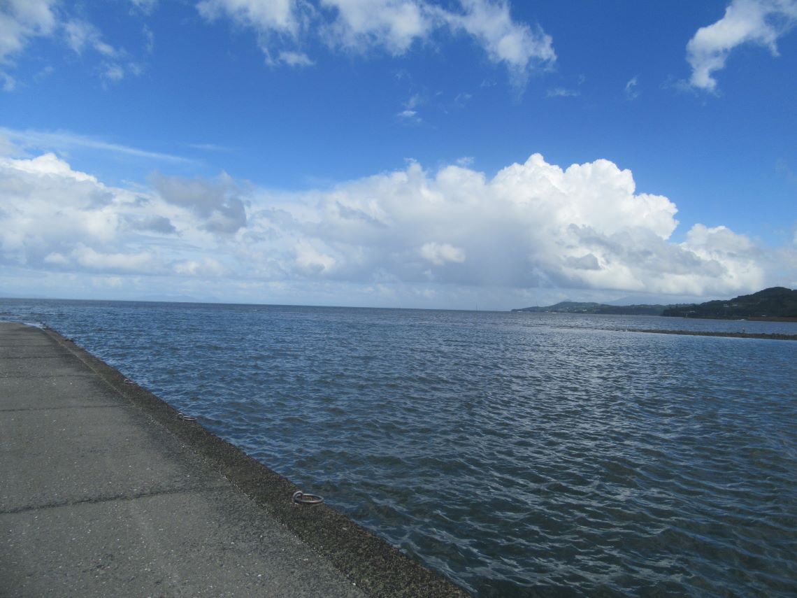 佐賀県藤津郡太良町にある大魚神社の海中鳥居付近の海。