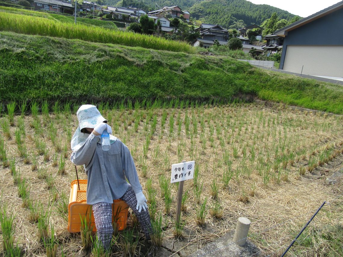 長崎県東彼杵郡波佐見町にある鬼木の棚田の、米農家の方のかかし。