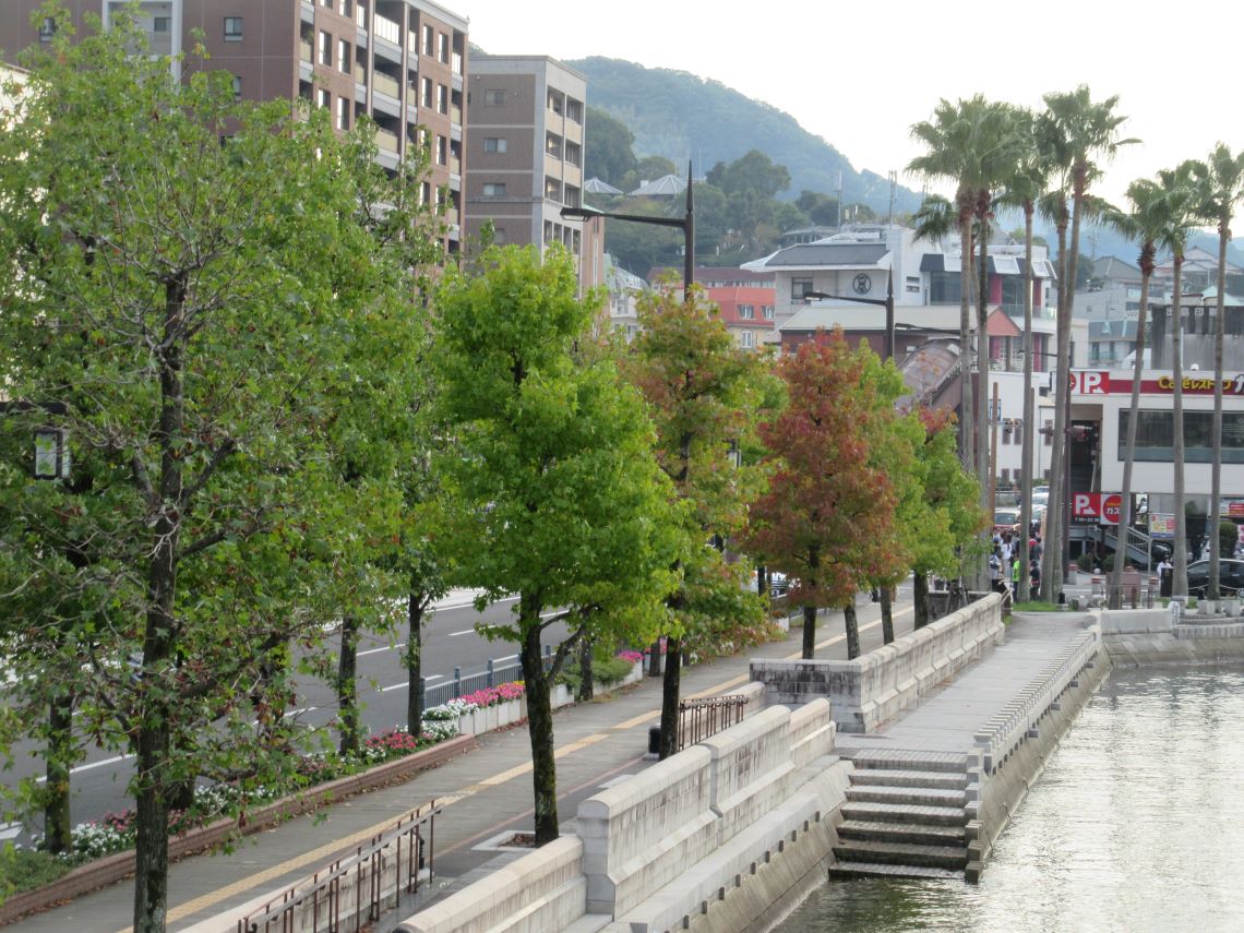 秋の長崎市の長崎水辺の森公園で撮影した、様々な色の葉をした木。