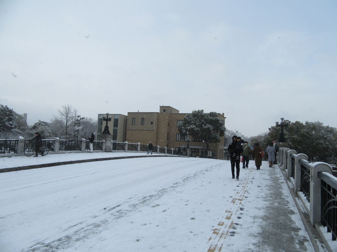 雪の元安橋