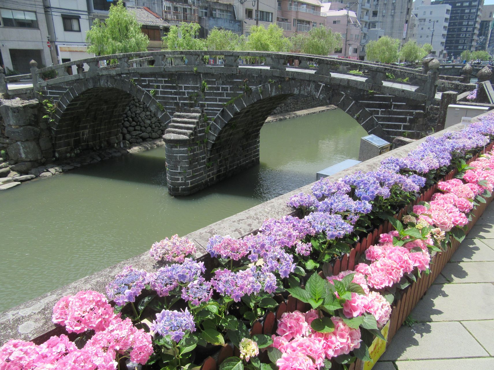 長崎市の眼鏡橋と、色鮮やかなあじさい。