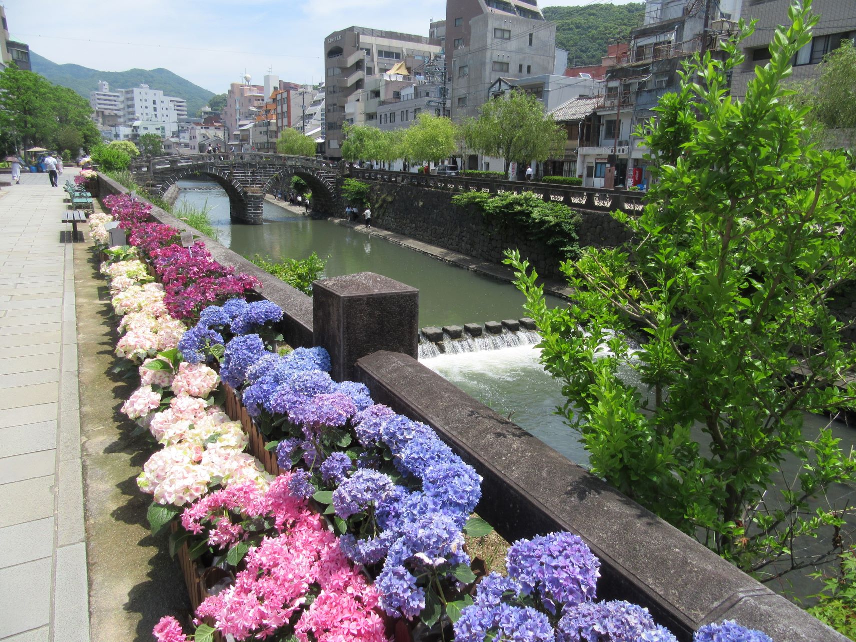 長崎市の眼鏡橋と、様々な色のあじさい。