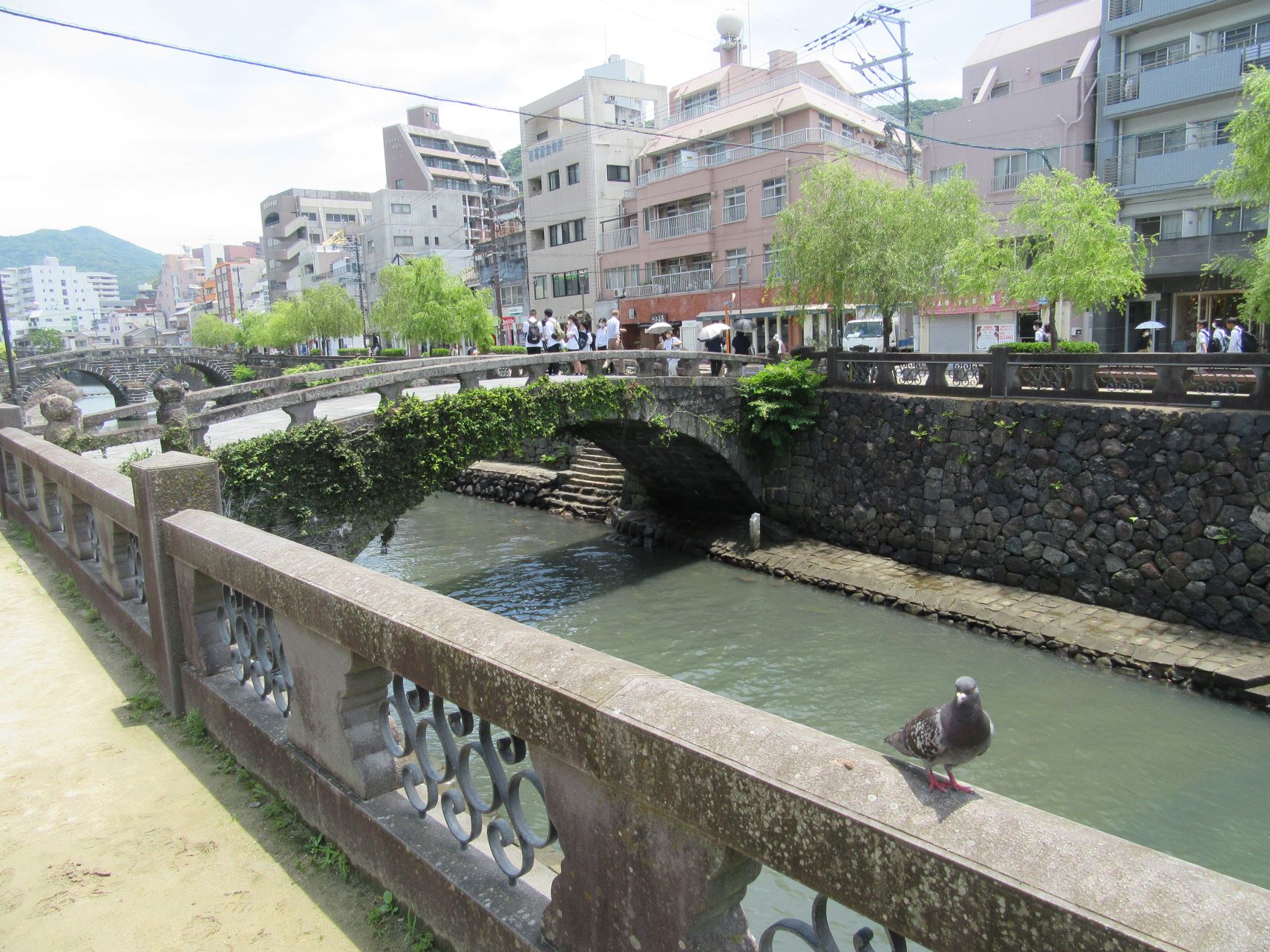 長崎市の眼鏡橋周辺の、鳩。