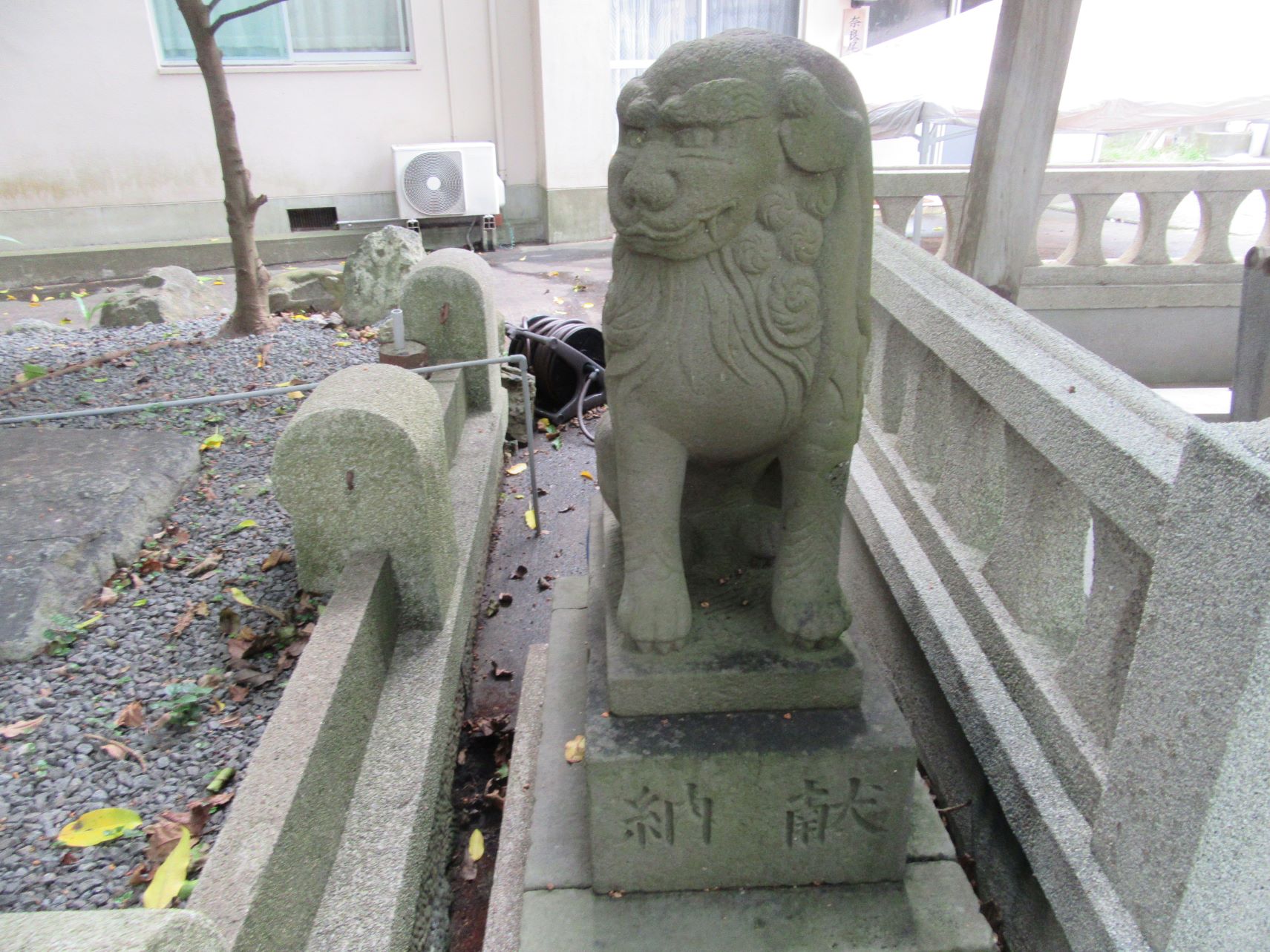長崎県南松浦郡新上五島町の奈良尾神社の凛々しい狛犬。