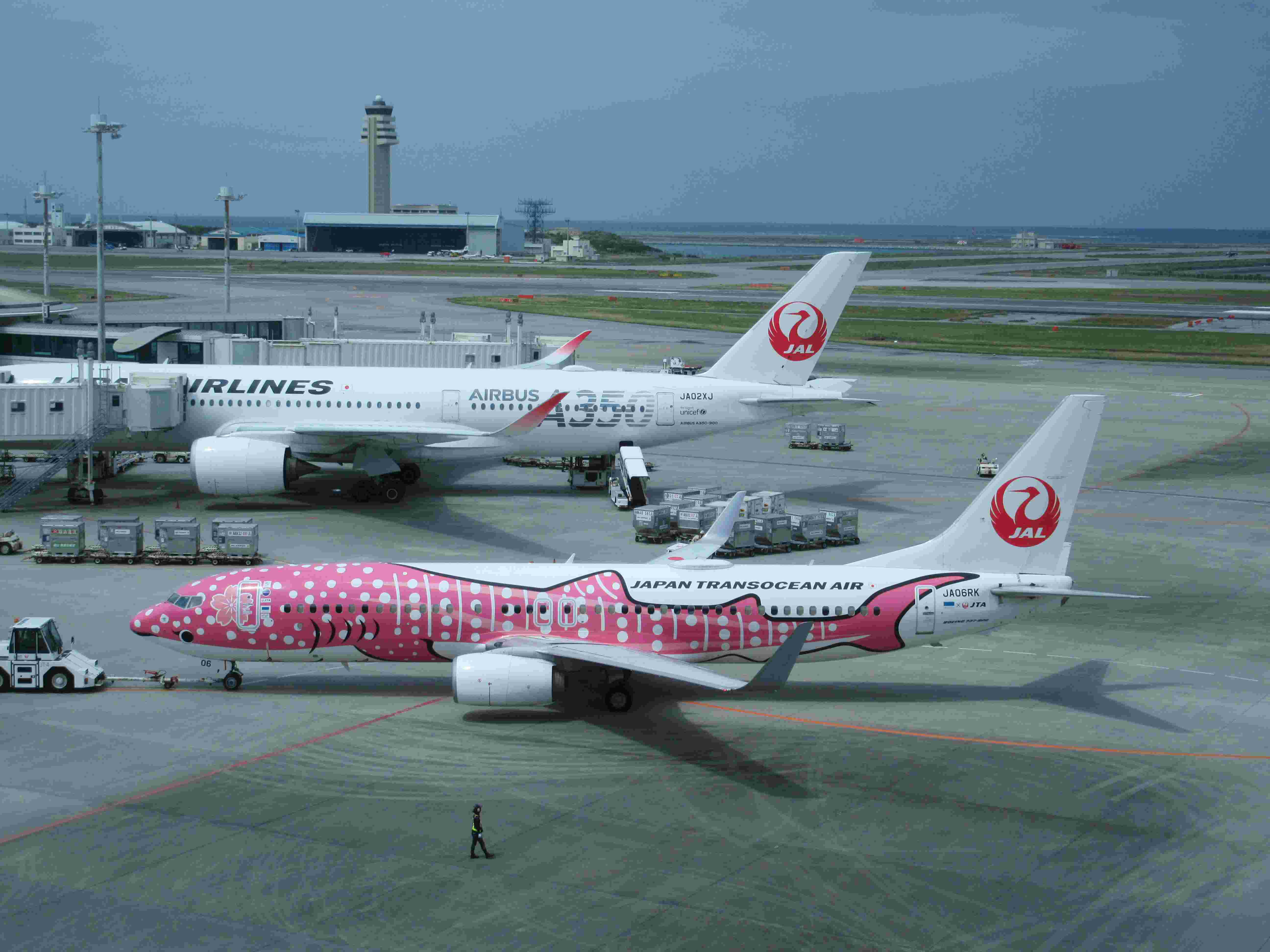 日本トランスオーシャン航空（JTA）のさくらジンベエ。