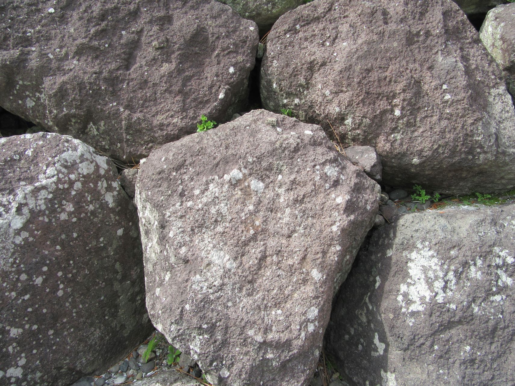 長崎県島原市の島原城で撮影した、石垣に使われている石。