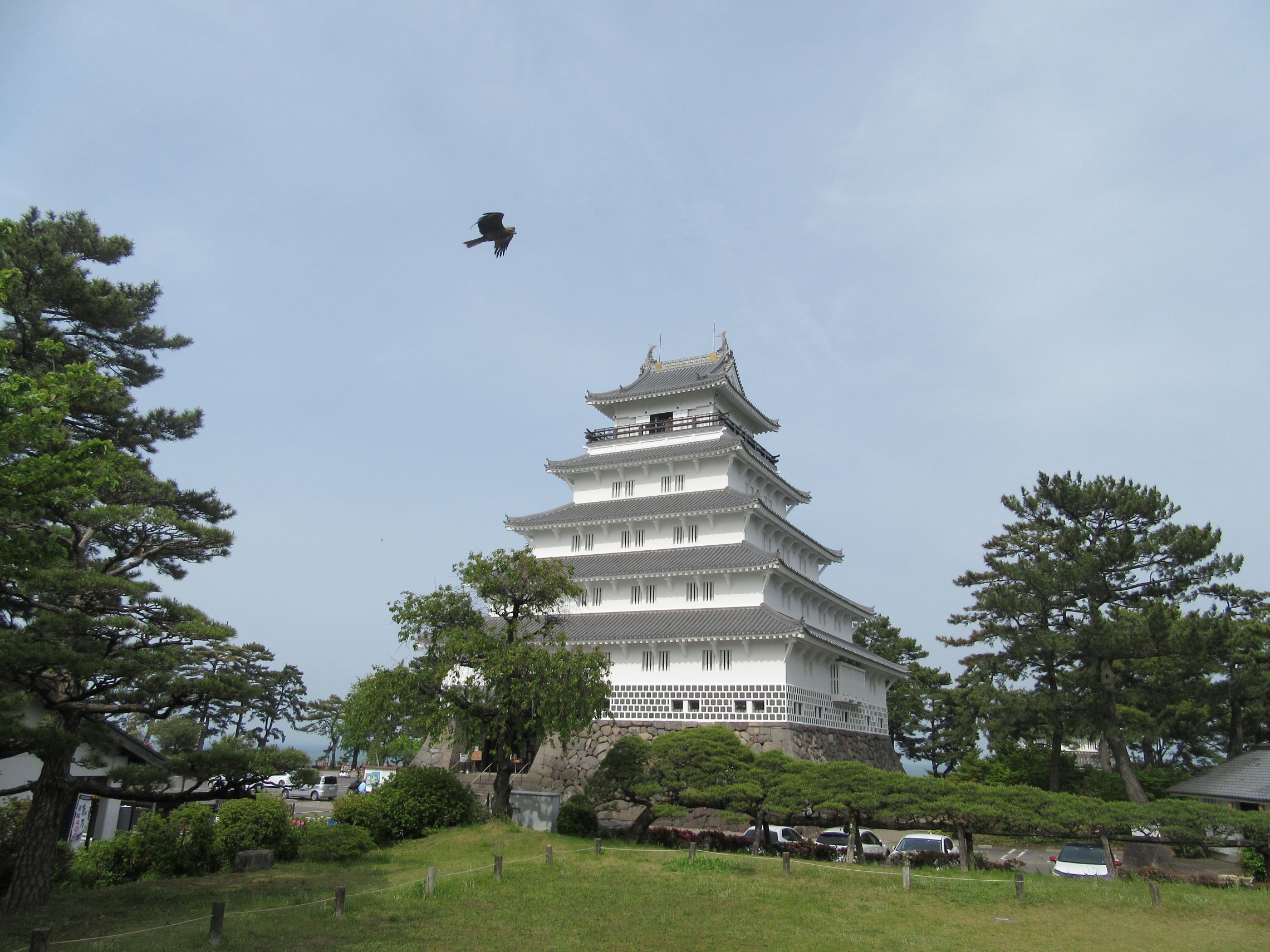 島原城の天守閣と、その近くを飛ぶ鳥の写真です。松の木といい、美しい風景です。