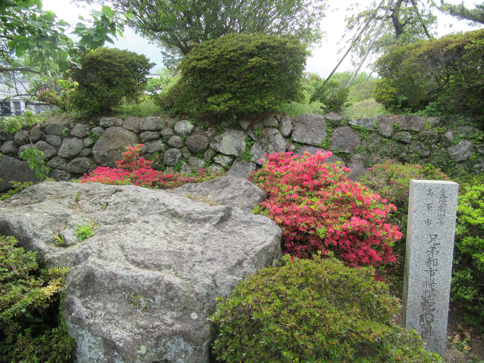 長崎県島原市の島原城で撮影した、昭和の町で有名な大分県豊後高田市との兄弟都市提携記念植樹だそうです。