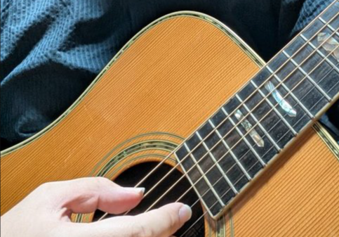 『K.Yairi YW-600）』