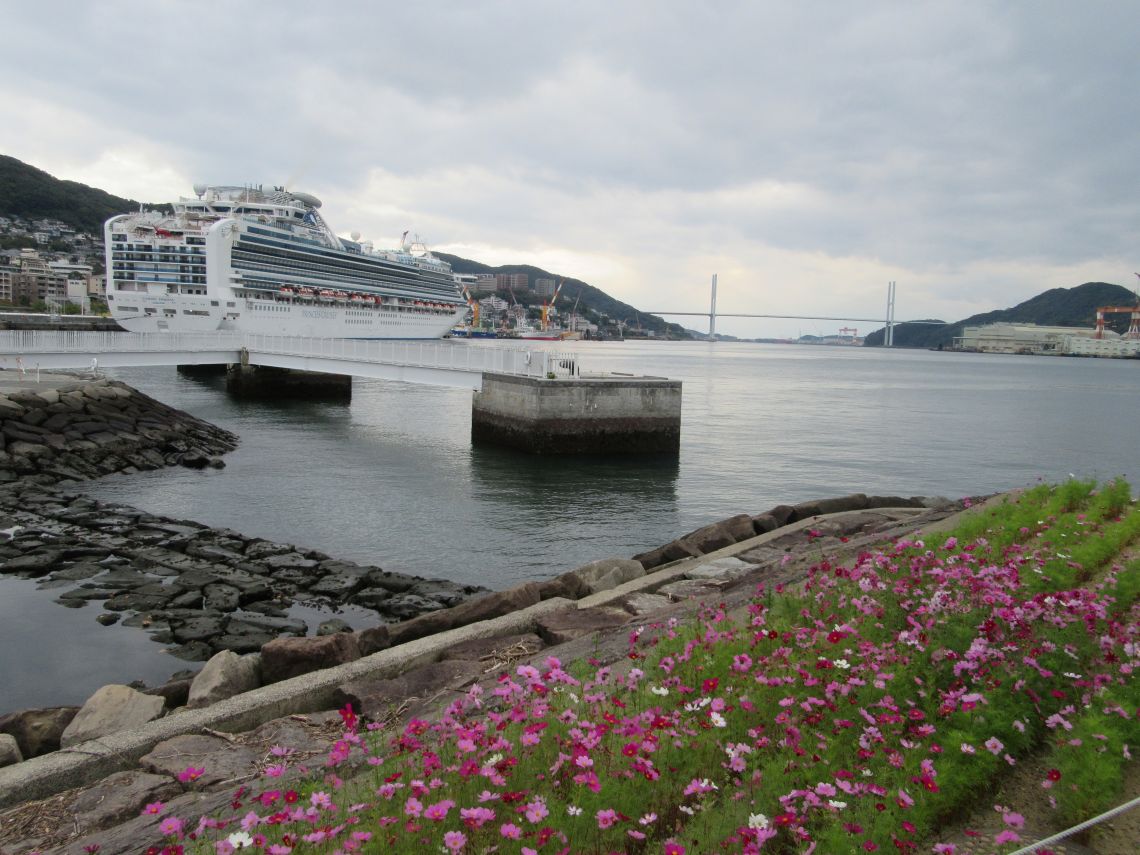 コスモスとダイヤモンド・プリンセスと女神大橋。